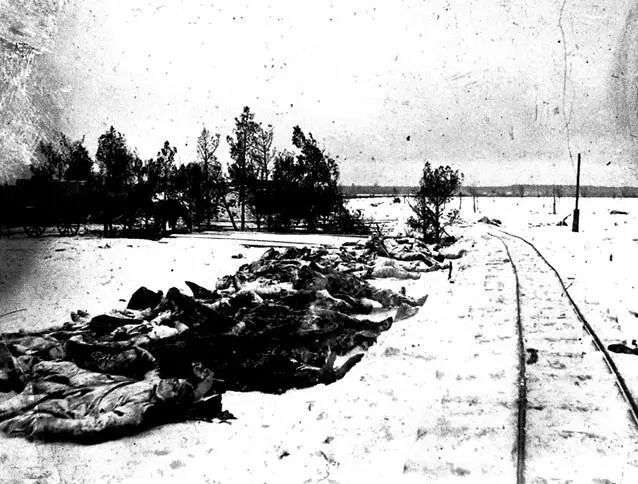 1917 г январь Погибшие в Рождественских боях латышские стрелки в районе - фото 4