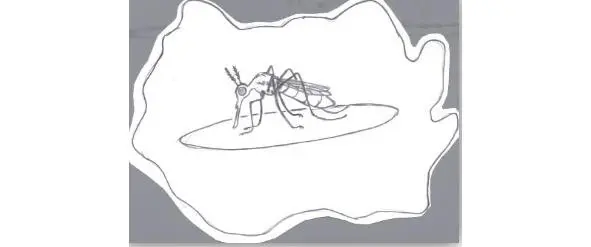 Уйбача сделал летающую модель комара а Огдо действующую модель молекулы - фото 3