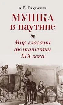 Андрей Гладышев - Мушка в паутине. Мир глазами феминистки XIX века