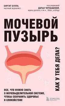 Биргит Булла - Мочевой пузырь. Как у тебя дела? Все, что нужно знать о мочевыделительной системе, чтобы сохранить здоровье и спокойствие