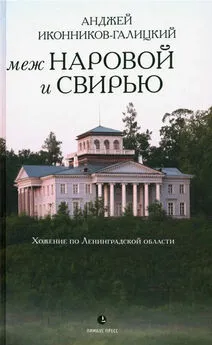 Анджей Иконников-Галицкий - Меж Наровой и Свирью. Хожение по Ленинградской области