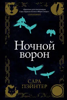 Сара Пэйнтер - Ночной ворон