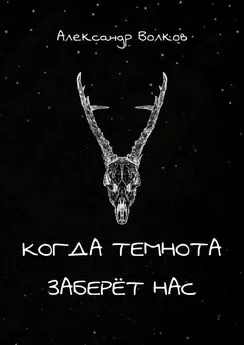 Александр Волков - Когда темнота заберёт нас. Сборник рассказов