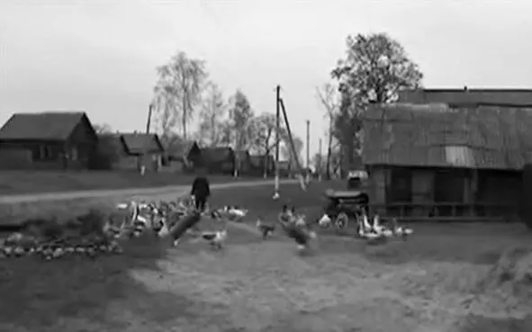 Фото села в Беларуси Село Белая Дуброва растянулось вдоль тихой речки Беседь - фото 14