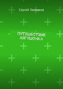 Сергей Холодков - Путешествие лягушонка