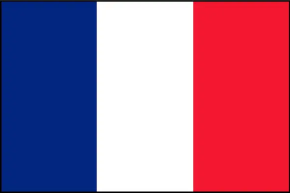 Национальный флаг Франции Большинство населения страны составляют французы - фото 21