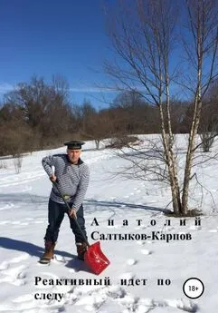 Анатолий Салтыков-Карпов - Реактивный идет по следу