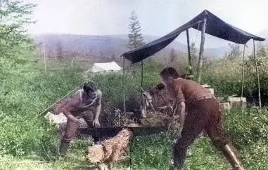 Заготовка дров для палаток и кухни На нары стелили брезент на него надувные - фото 23