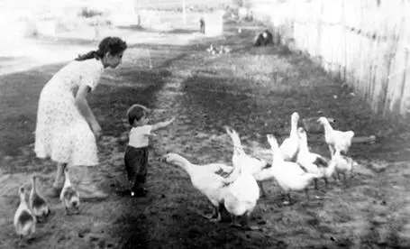 Мама я и гуси с Евдаково 1952 г Семейный архив А потом папа сажает меня на - фото 2