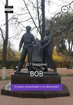 Дмитрий Боррони - В О В: Истории концлагерей и их обитателей