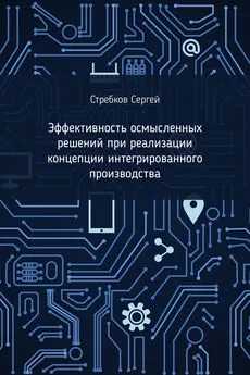 Сергей Стребков - Эффективность осмысленных решений при реализации концепции интегрированного производства