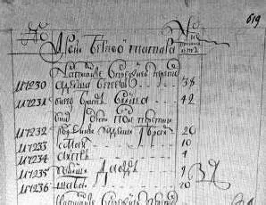 Переписная книга 1748 г РГАДА ф 350 оп 2 д 2545 л 619 БИГЕЕВО - фото 40