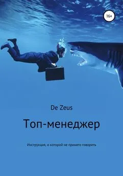 De Zeus - Топ-менеджер. Инструкция, о которой не принято говорить