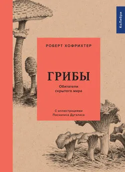 Роберт Хофрихтер - Грибы: Обитатели скрытого мира