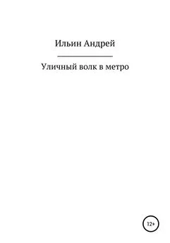 Андрей Ильин - Уличный волк в метро