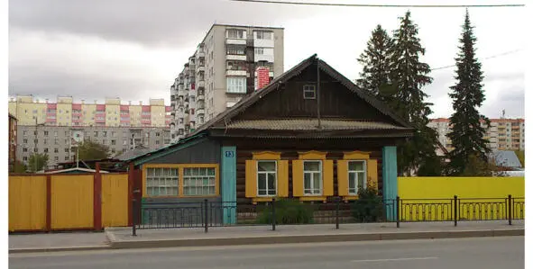 На фото Родительский дом Пихты в огороде А вокруг уже много лет подбираются - фото 4
