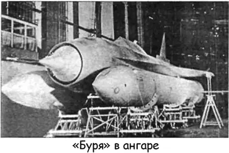 Центральное тело диффузора одновременно являлось контейнером для боевой части - фото 13