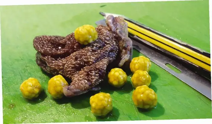 Клубничный пузырь с крошечными камнями полными насыщенных холестерином - фото 21