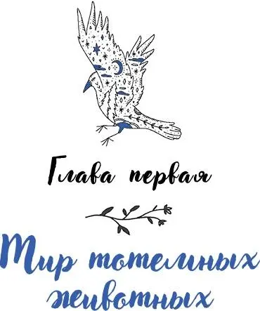 Глава первая Мир тотемных животных Меня часто спрашивают есть ли разница в - фото 4
