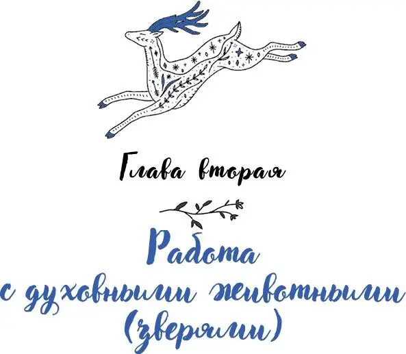 Глава вторая Работа с духовными животными зверями Вы когданибудь - фото 6