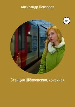 Александр Невзоров - Станция Щёлковская, конечная