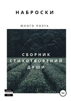 Никита Родичев - Наброски юного поэта, или Сборник стихотворений души