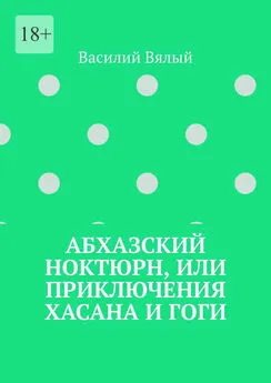 Василий Вялый - Абхазский ноктюрн, или Приключения Хасана и Гоги