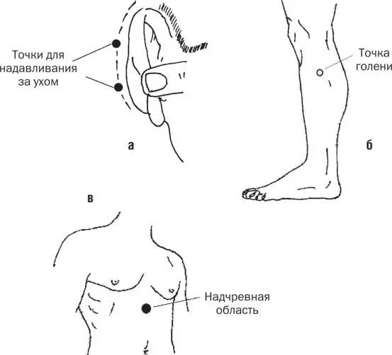 Рис 3 Точки против укачивания Сосцевидным отростком называется часть височной - фото 9
