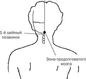 Рис 7 При носовом кровотечении Травма ушиб и растяжение связок Можно ли - фото 15