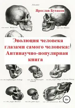 Ярослав Бутаков - Эволюция человека глазами самого человека: Антинаучно-популярная книга