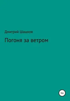 Дмитрий Шашков - Погоня за ветром