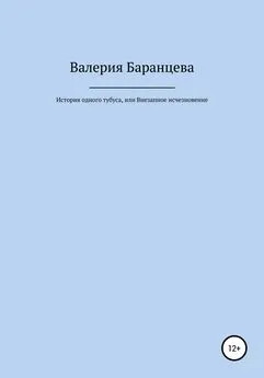 Валерия Баранцева - История одного тубуса, или Внезапное исчезновение
