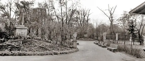 Фото Панорама гомельского парка началасередины 1950х в городе Гомель - фото 13