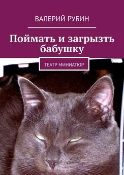 Валерий Рубин - Поймать и загрызть бабушку. Театр миниатюр