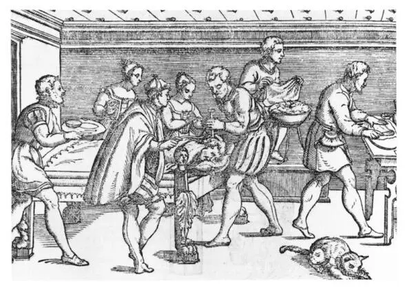 Рисунок 17 Ксилография XVI века изображающая трепанацию дома Обратите - фото 17
