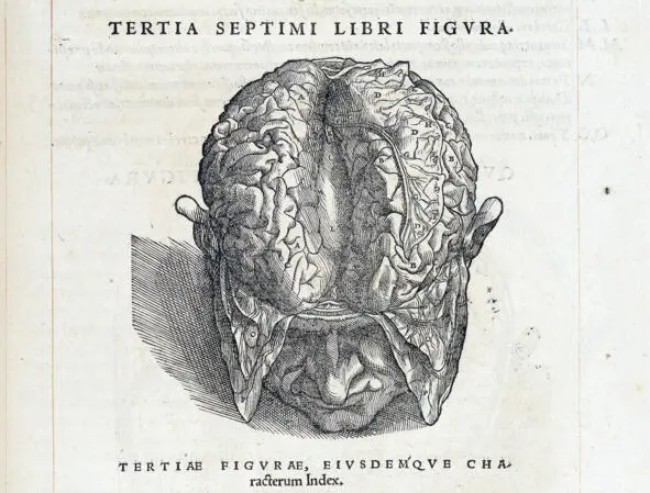 Рисунок 2 Одна из иллюстраций книги О строении человеческого тела Есть - фото 2