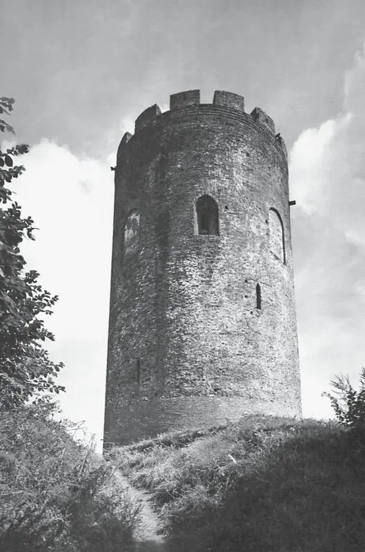 Башнядонжон в Каменце XIII в К началу XIV в Русь раздираемая - фото 2