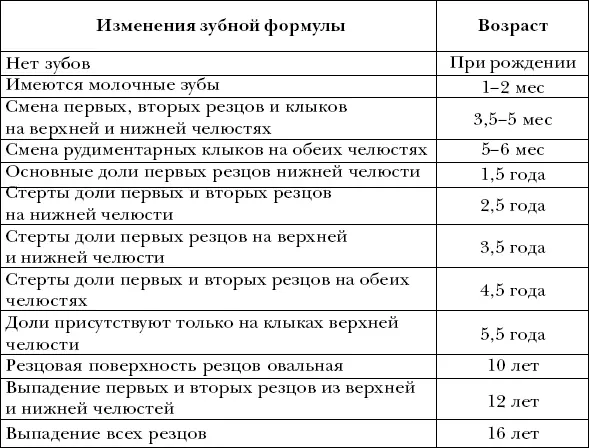 Десны представляют собой складки слизистой оболочки покрывающие челюсти и - фото 17