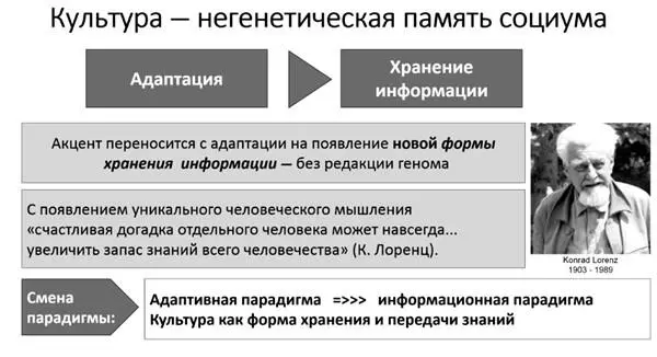 Культура выступает как негенетическая память социума с одной стороны и как - фото 1