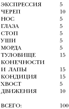 Недостатки Высунутый язык поврежденные глаза ножницеобразный прикус кривой - фото 13