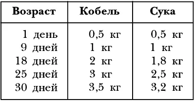 До 6 месяцев щенки немецкой овчарки растут наиболее интенсивно поэтому - фото 44