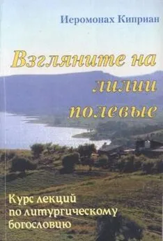 Киприан Керн - «Взгляните на лилии полевые…» Курс лекций по литургическому богословию