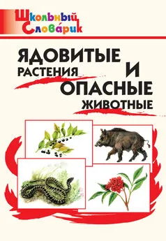 М. Сергеева - Ядовитые растения и опасные животные. Начальная школа