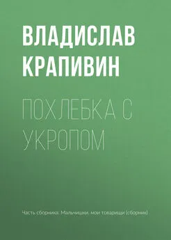 Владислав Крапивин - Похлебка с укропом