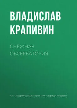 Владислав Крапивин - Снежная обсерватория