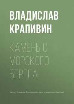 Владислав Крапивин - Камень с морского берега