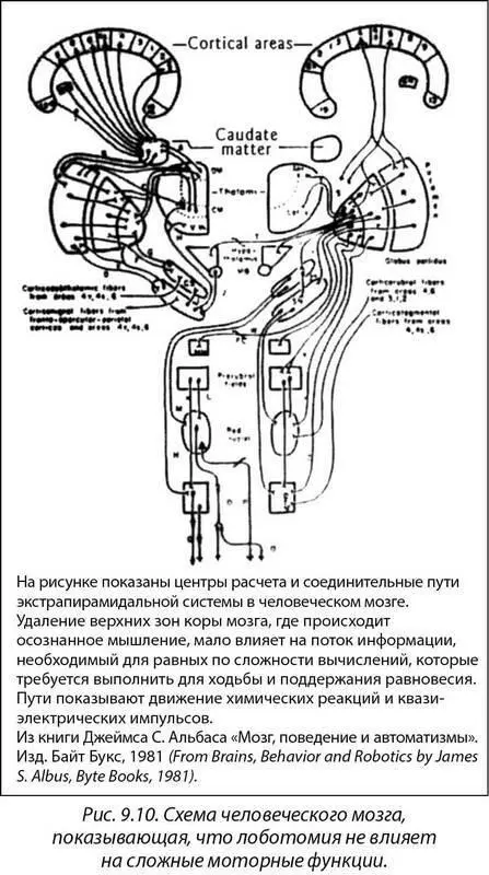На рисунке 911 изображен план основания храма в Луксоре Этот храм был - фото 12