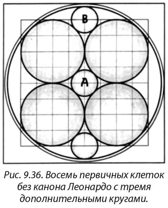 Это двухмерное изображение восьми первичных клеток А в трехмерной форме если - фото 39