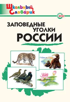 Александр Цветков - Заповедные уголки России. Начальная школа