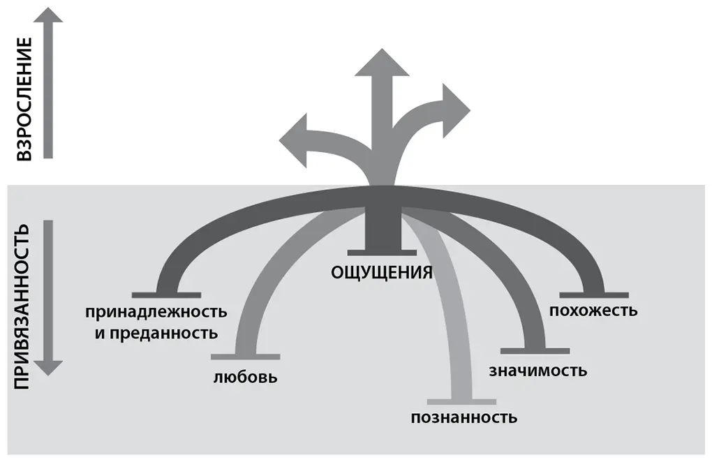 Шесть уровней привязанности Адаптированный слайд из онлайнкурса Института - фото 2